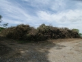 LEPO0862